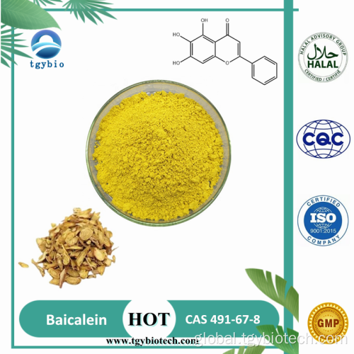  Hypericum Perforatum Extract Natural Scutellaria Baicalensis Extract 98% Baicalein Factory